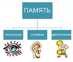 Развитию оперативной речевой памяти будут способствовать такие упражнения