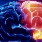 Как развить мозг и память у взрослого 2