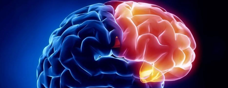 Как развить мозг и память у взрослого 2